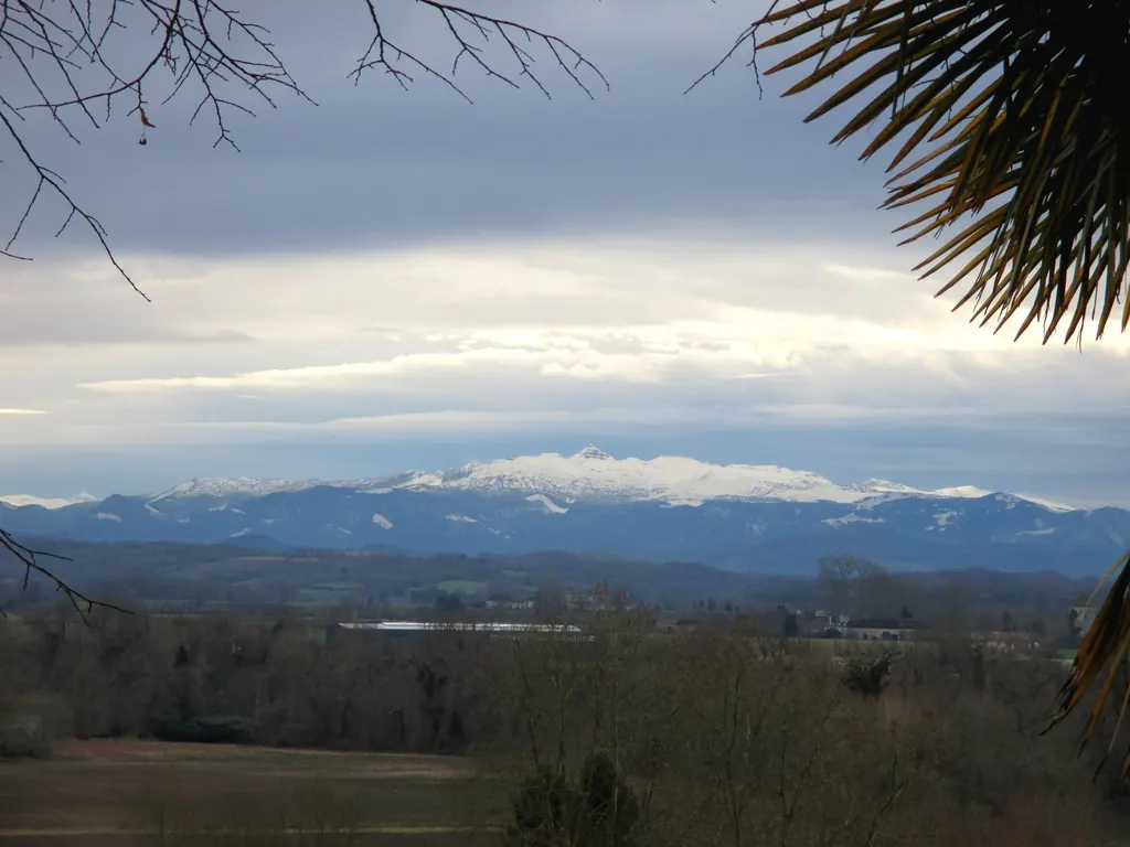 Prairies et boisements du Béarn des Gaves, les Pyrénées enneigées à l'horizon